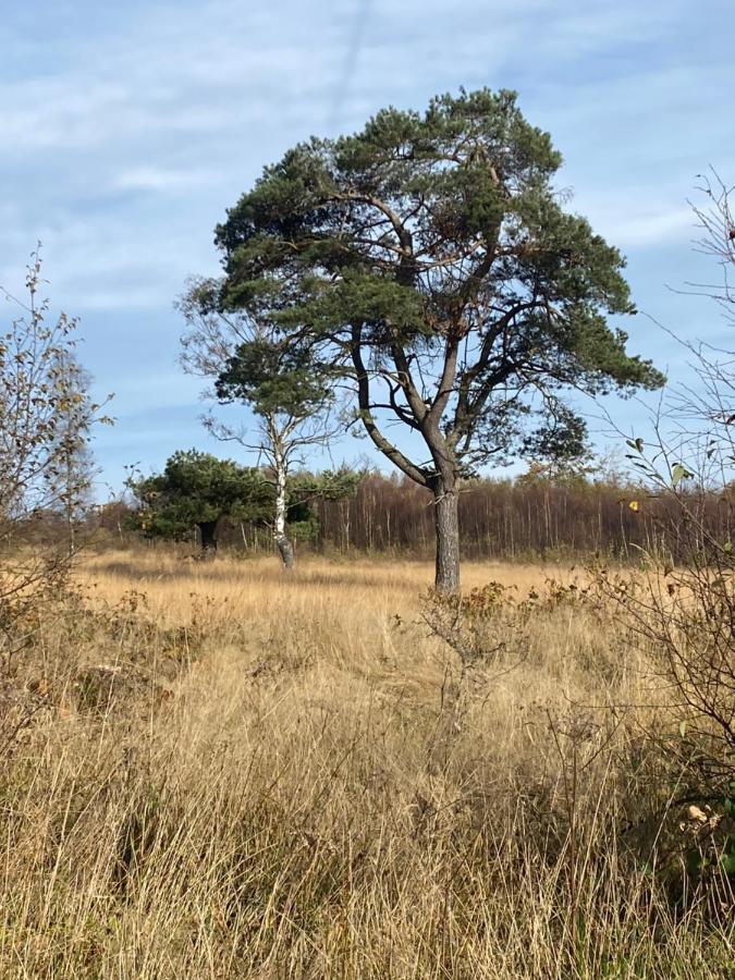 Landhausidylle Simmerath Exteriér fotografie